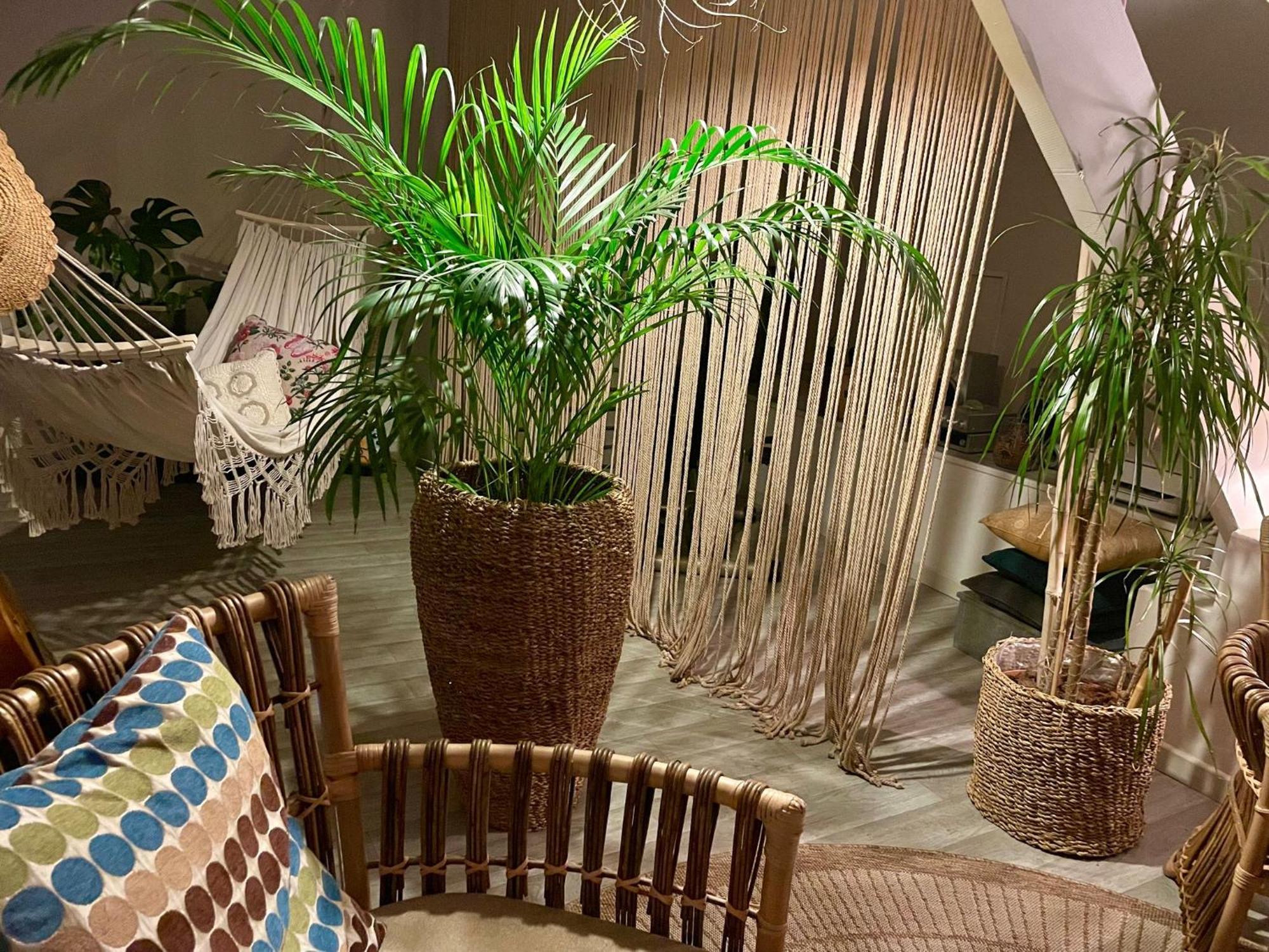 Chambre Boheme Chez Rachel Pau Kültér fotó